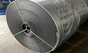 Cao su chống cháy